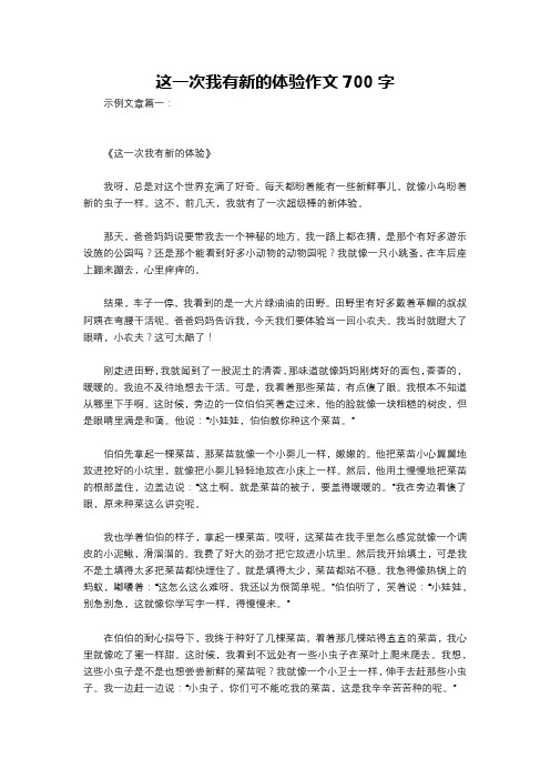 这一次我有新的体验作文700字