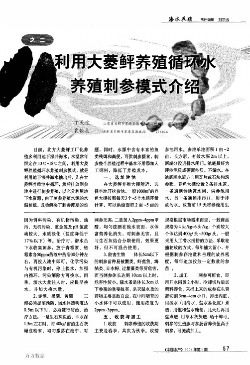 刺参养殖技术之二利用大菱鲆养殖循环水养殖刺参模式介绍