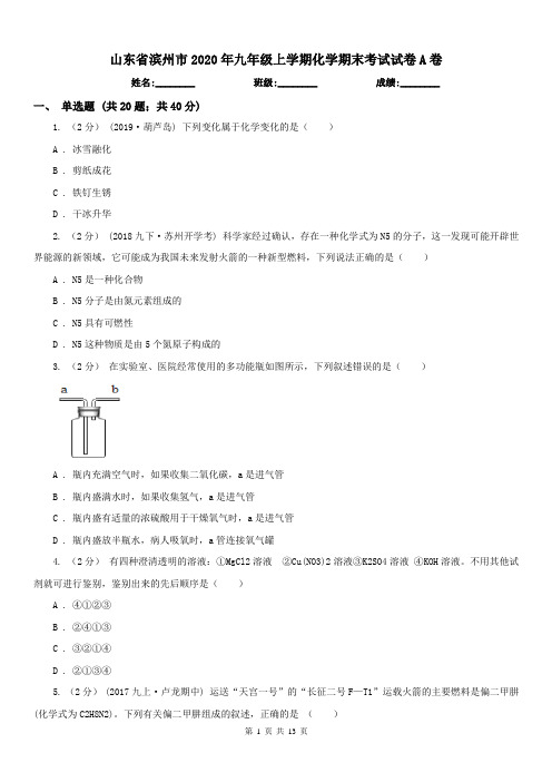 山东省滨州市2020年九年级上学期化学期末考试试卷A卷(练习)