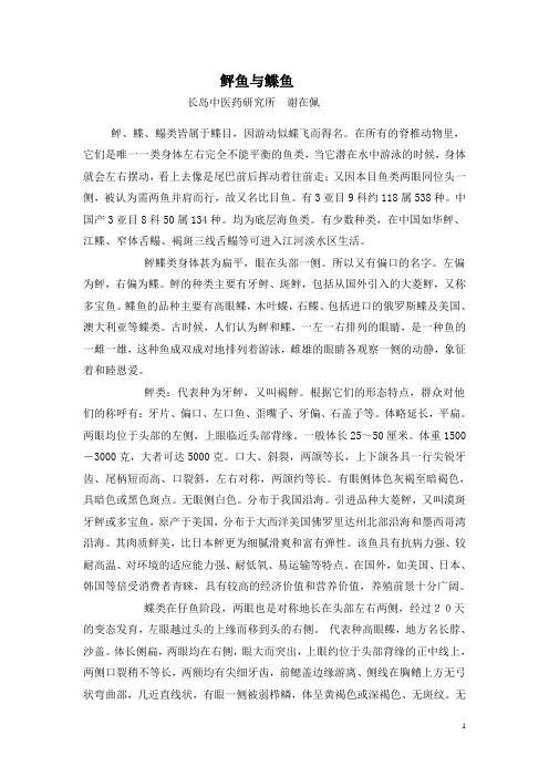 鲆鱼与鲽鱼