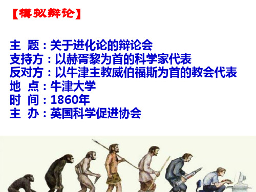 苏教版八年级上册生物：第四节 人类的起源和进化