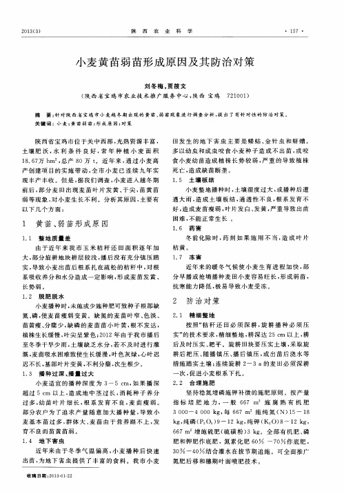 小麦黄苗弱苗形成原因及其防治对策