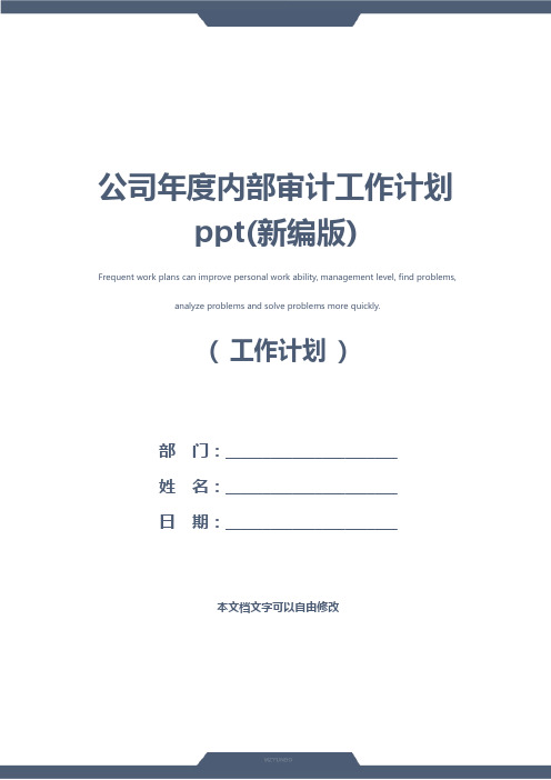 公司年度内部审计工作计划ppt(新编版)