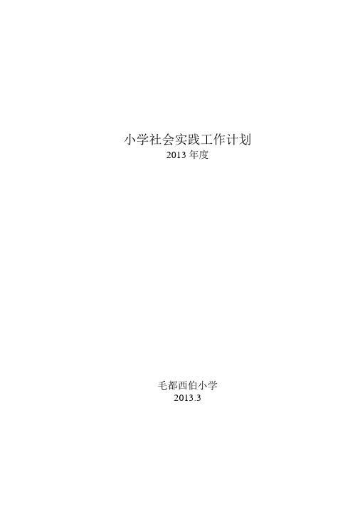 2013小学社会实践工作计划