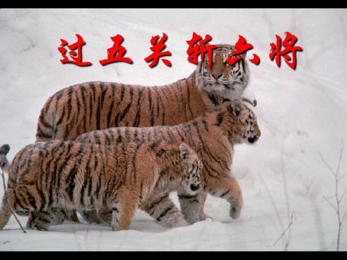 4--过五关斩六将.