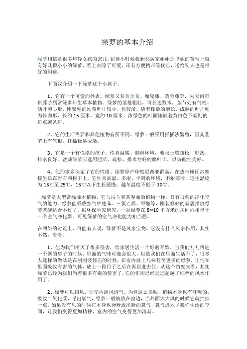 绿萝介绍