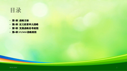 战略分析框架分析报告(ppt 91页)