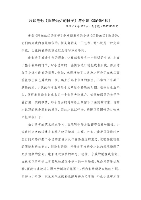 影视文学