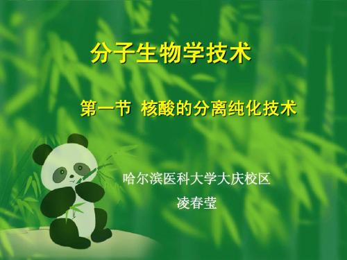 分子生物学技术