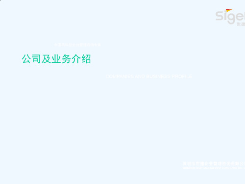 某咨询公司相关业务介绍