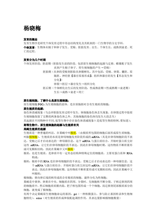 发育生物学复习提纲