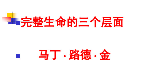 完整生命的三个层面ppt