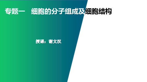 专题一   细胞的分子组成及细胞结构