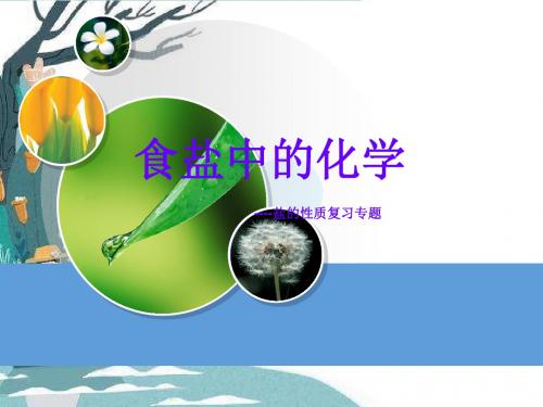 沪教初中化学九下《7第7章 应用广泛的酸、碱、盐》PPT课件 (1)