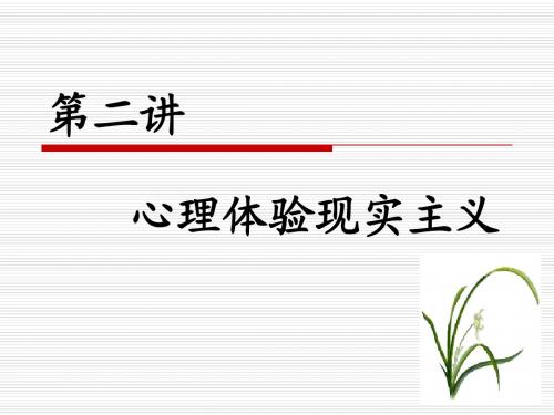 心理体验现实主义
