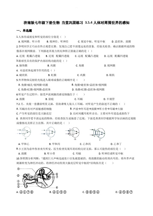 济南版七年级下册生物 当堂巩固练习 3.5.4人体对周围世界的感知含答案