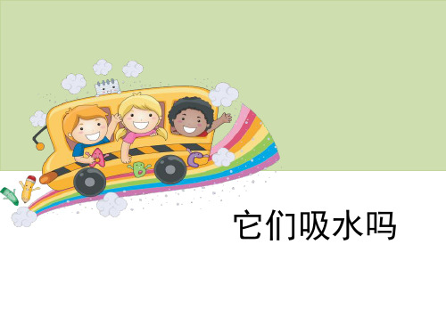《它们吸水吗》我们周围的材料PPT