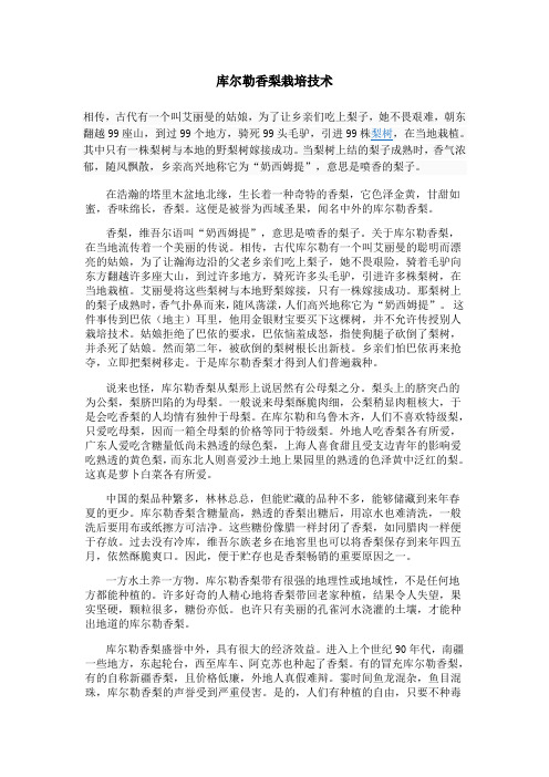 库尔勒香梨栽培技术