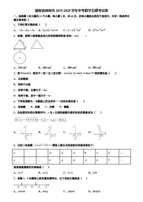 湖南省郴州市2019-2020学年中考数学五模考试卷含解析