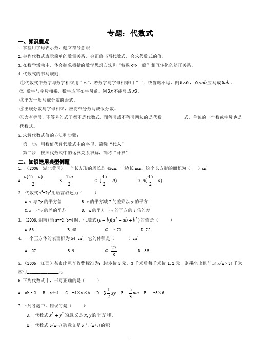 初中数学专题：代数式.doc