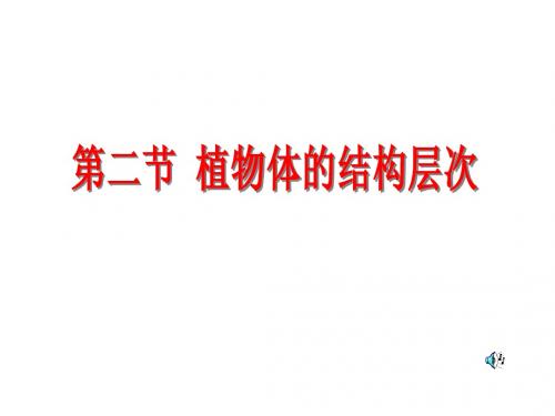 植物体的结构层次