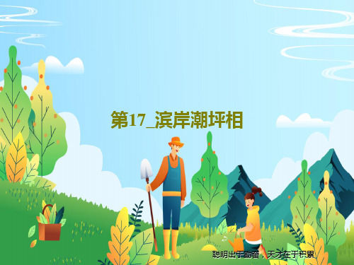 第17_滨岸潮坪相共59页