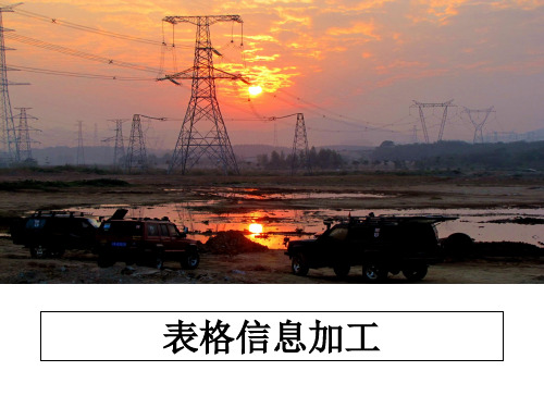 最新表格信息加工课件PPT
