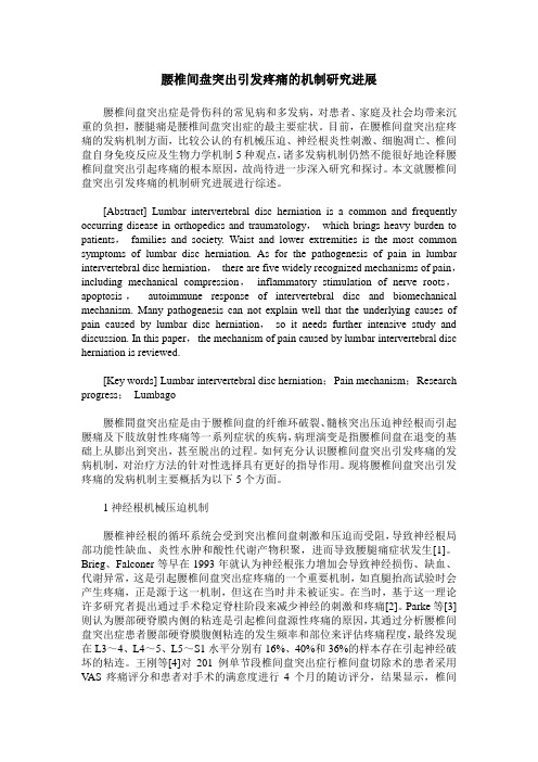 腰椎间盘突出引发疼痛的机制研究进展