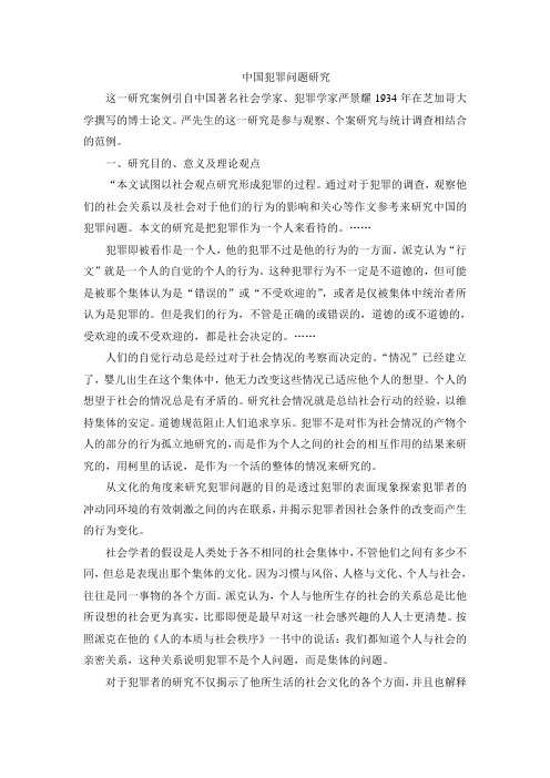 中国犯罪问题研究