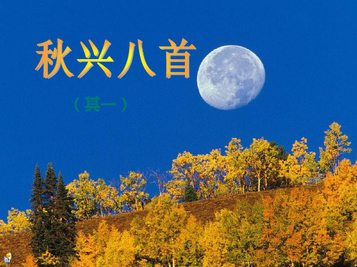 秋兴八首其一解析