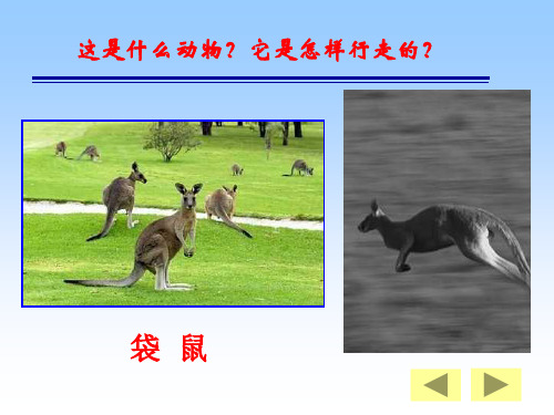 二年级体育课件-立定跳远动作要领 全国通用