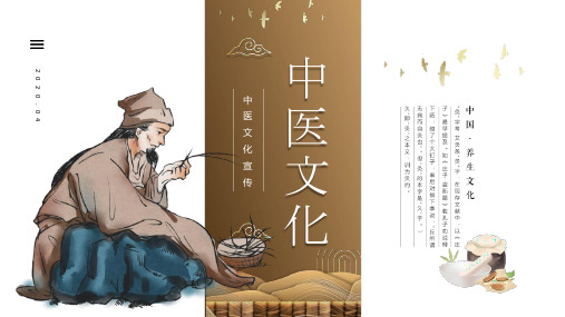 高端大气红色中医文化宣传PPT模板