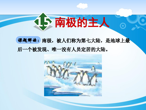 《南极的主人》PPT【优秀课件】【推荐课件】
