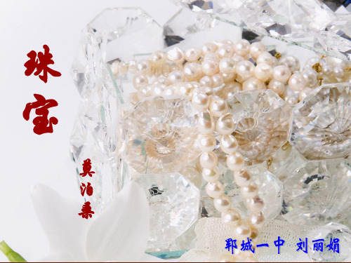 《珠宝》课件