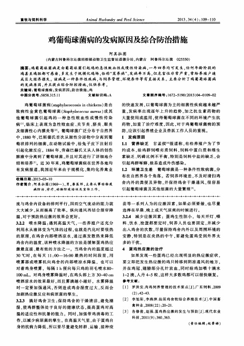 鸡葡萄球菌病的发病原因及综合防治措施