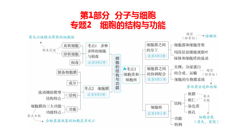 高中生物总复习讲解课件：专题2  细胞的结构与功能(共28张PPT)