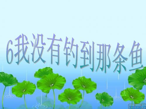 五年级语文上册 第二单元 我没有钓到那条鱼课件2 西师大版