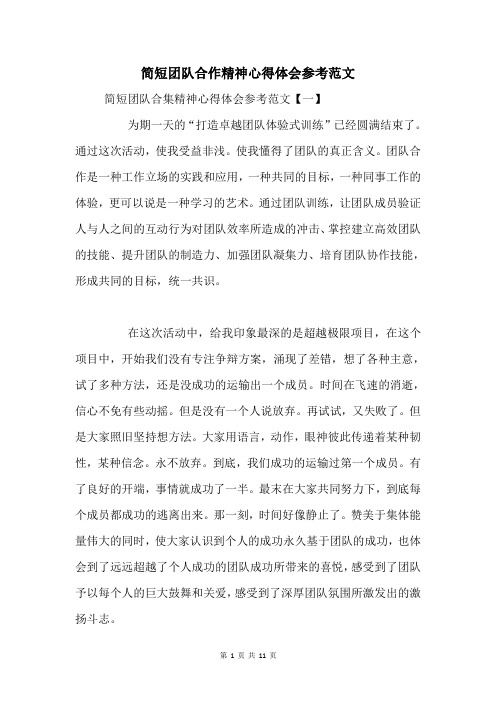 团队合作精神心得体会参考范文