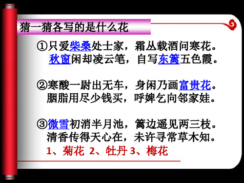 公开课人物鉴赏
