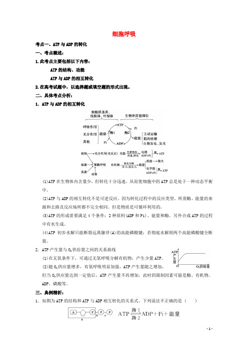 高考生物考点精讲精析 ATP、细胞呼吸 新人教版