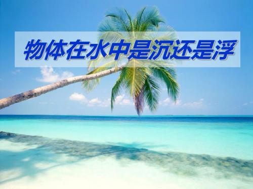 《物体在水中是沉还是浮》沉和浮PPT课件2 (共13张PPT)