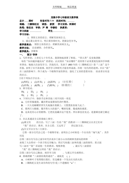 《三颗枸杞豆》教学案3篇