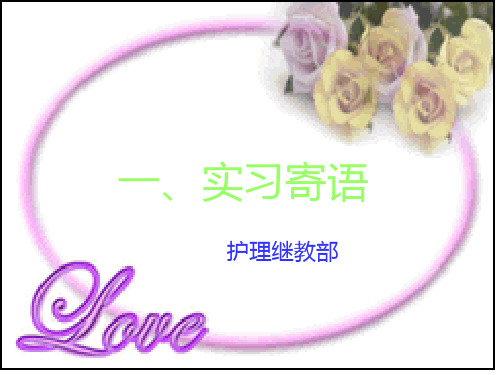实习生岗前教育