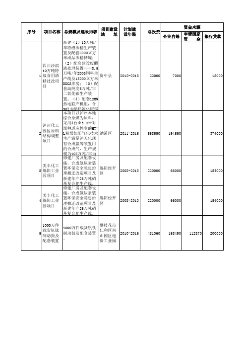 项目