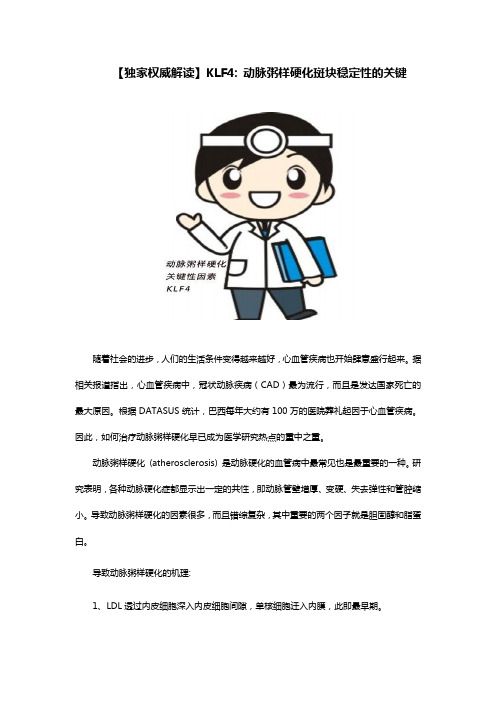 KLF4：动脉粥样硬化斑块稳定性的关键