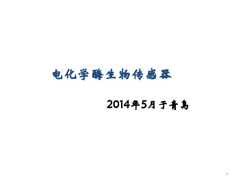 电化学酶生物传感器ppt课件