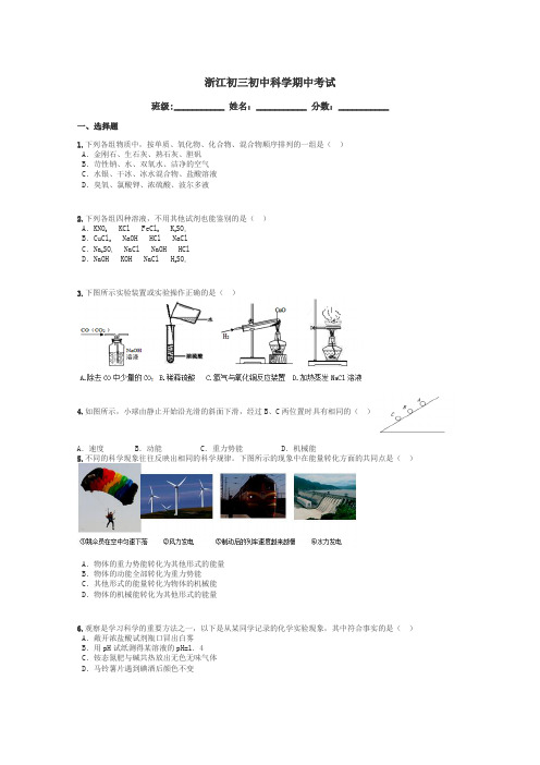 浙江初三初中科学期中考试带答案解析
