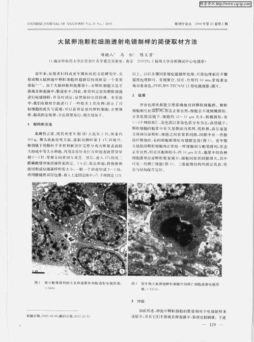 大鼠卵泡颗粒细胞透射电镜制样的简便取材方法