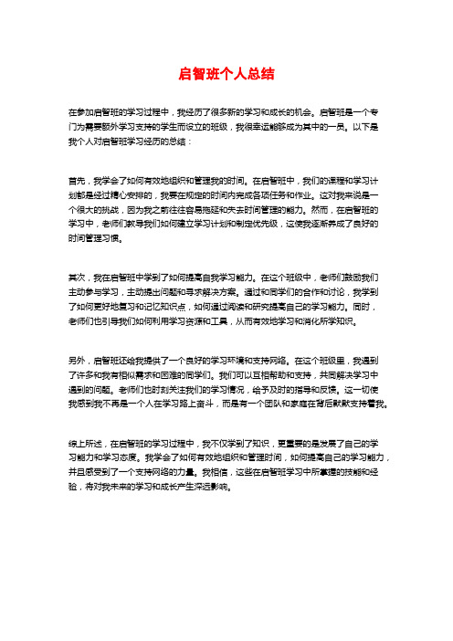 启智班个人总结