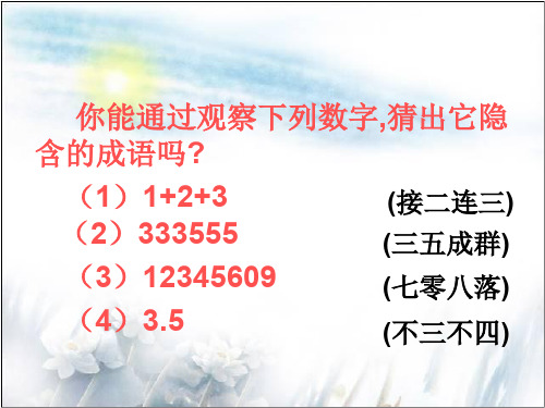 成语辨析分类PPT-28页PPT资料